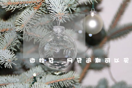 微粒贷 网贷逾期可以买房子吗 微粒贷 网贷逾期可以买房子吗